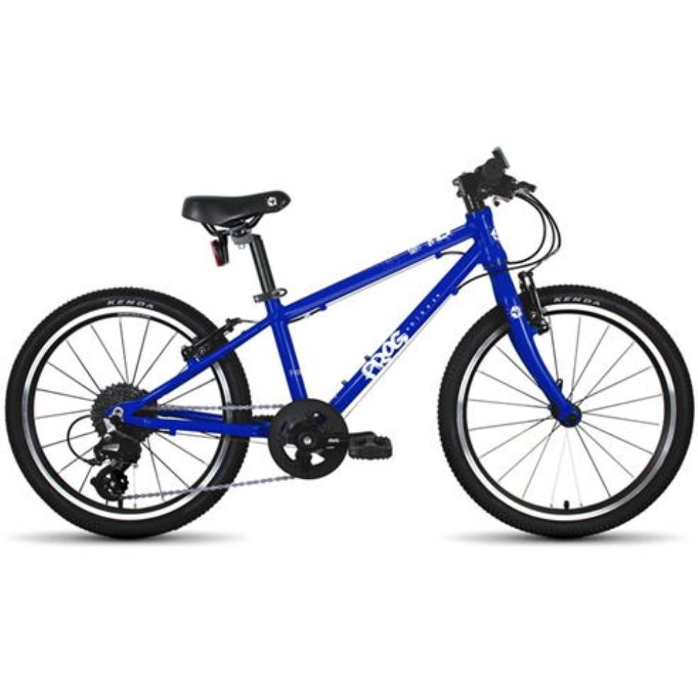 Frog 62 - Blue