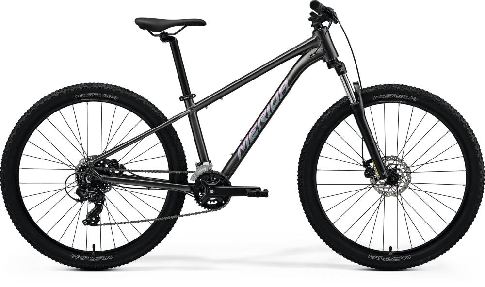 Big Seven 15 2026